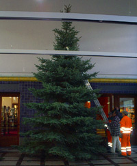 weihnachtsbaum-klein.jpg